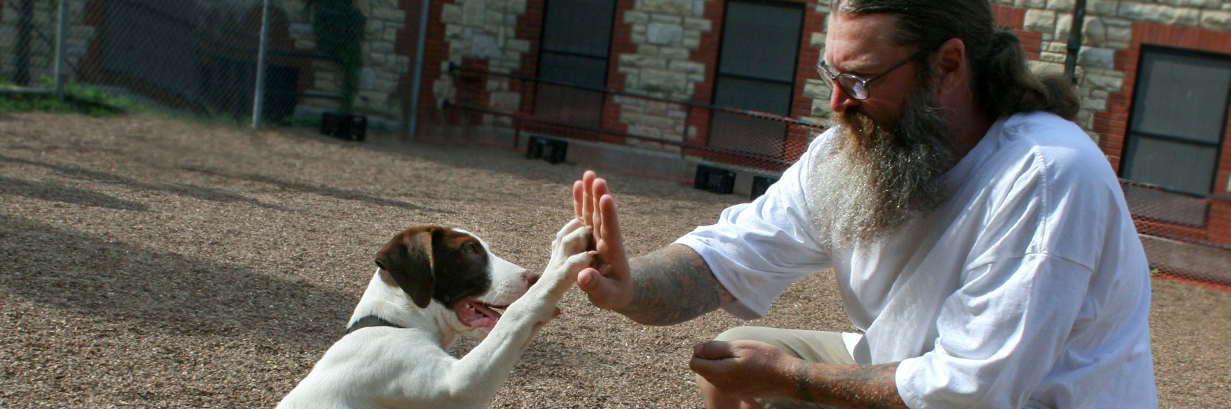 Puppies for Parole | Missouri Department of Corrections