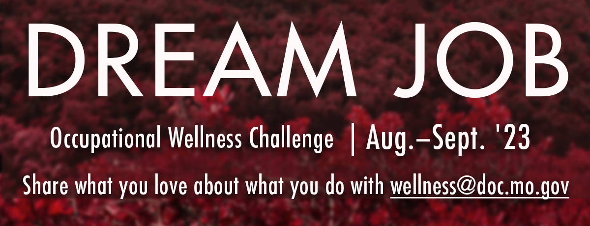 Dream Job DOC Wellness challenge slider