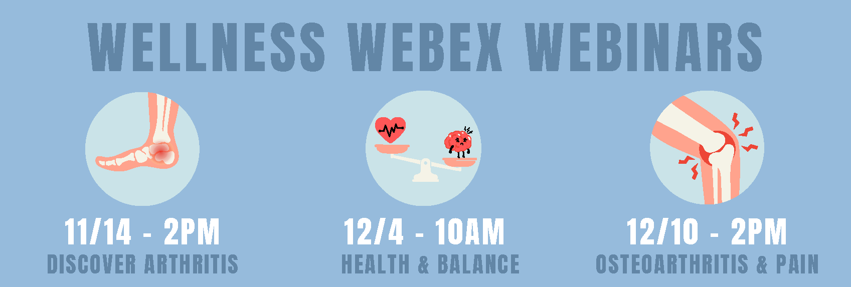 Wellness Webinars Flyer November to December 2024 slider