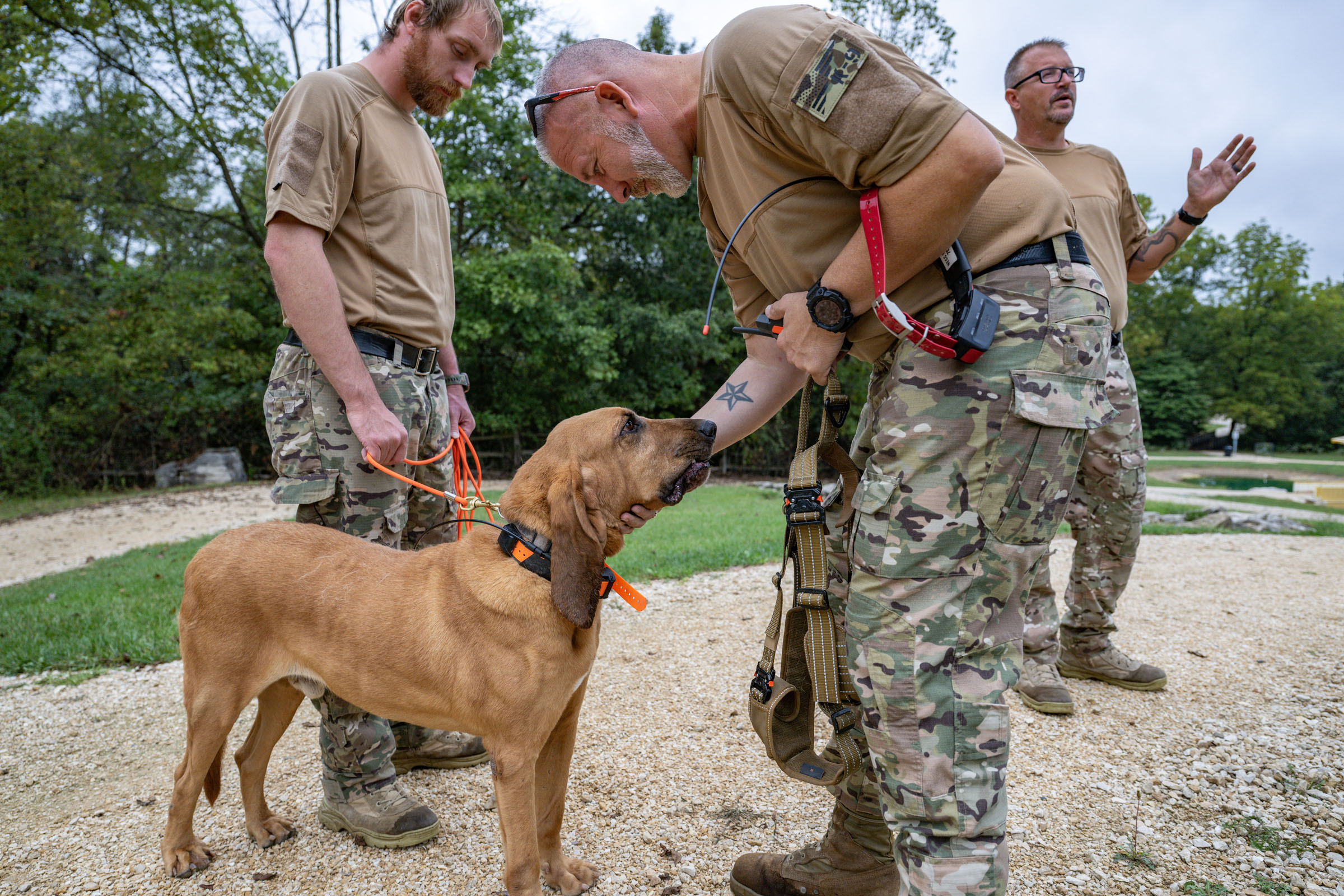 Praising dog for a successful tracking run