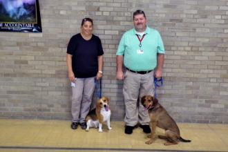 New dogs for CTCC