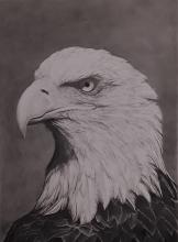 Eagle Drawing donation