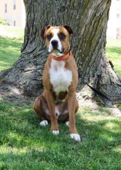 P4P graduate - Jake