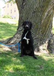 P4P graduate - Joey