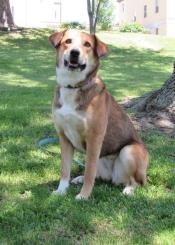 P4P graduate - Willow