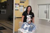Lewis Pie in the face after