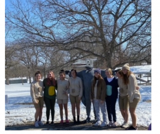 Polar plunge