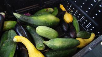 RJ garden vegetable donation
