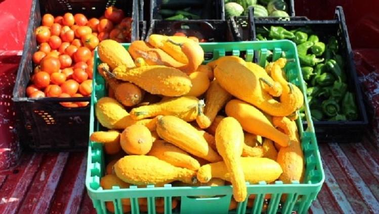 vegetables