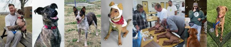Puppies for Parole dogs