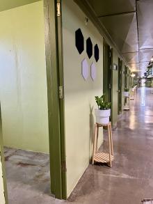 Missouri Prison Transformation Project - Moberly Correctional Center - plants - sound tiles